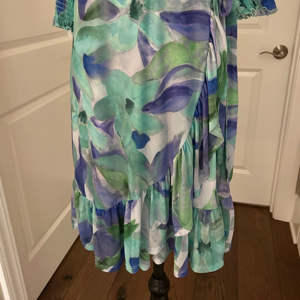 NWT! Sunny Leigh Woman’s Green & Blue Floral Print Dress Size Large - Picture 5 of 14